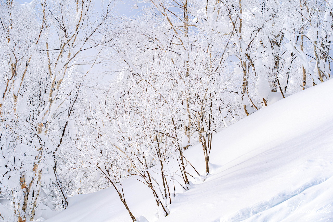 富良野スキー場　気温 -14℃。ダイヤモンドダストが煌めく、国内屈指のリゾートゲレンデを堪能♪